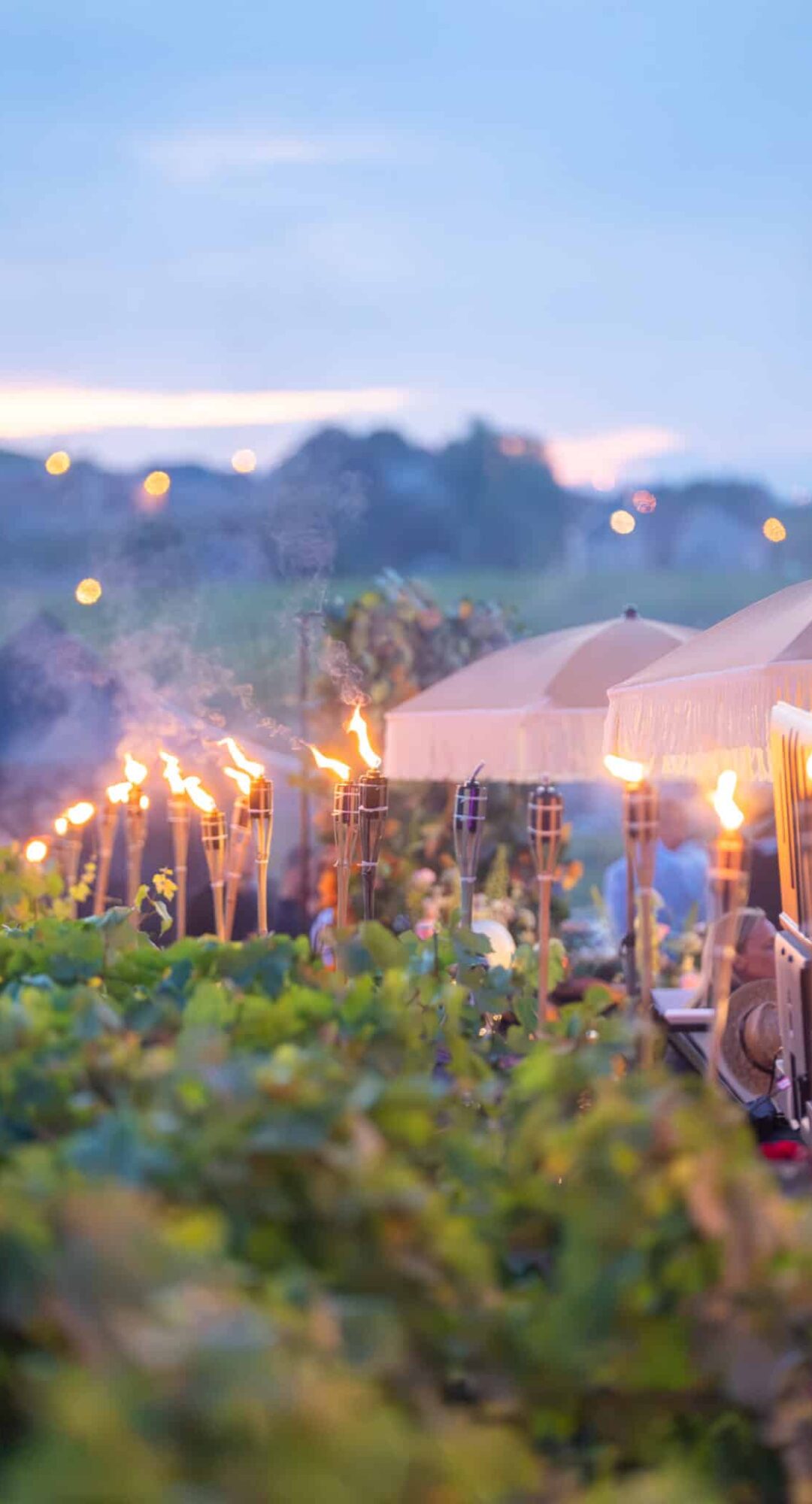 AIRDIGIPROD206 AIRDIGIPROD206